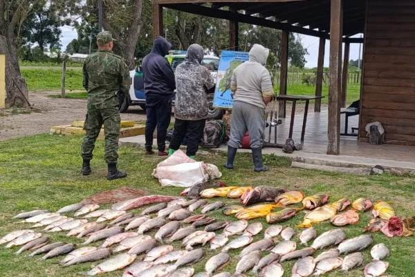 Detienen a tres hombres con casi 100 pescados en plena veda en el Paraná