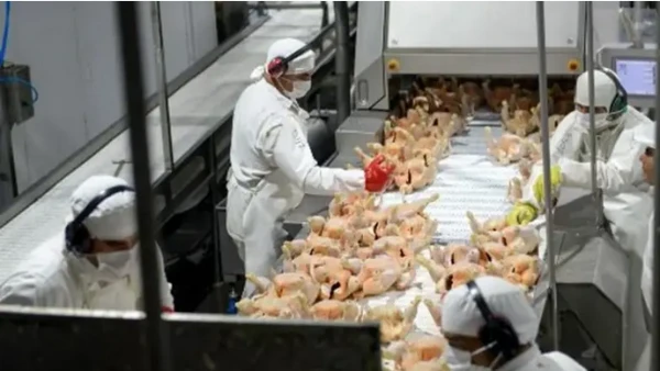 Una de las principales avícolas del país despidió a 1.000 trabajadores por la crisis