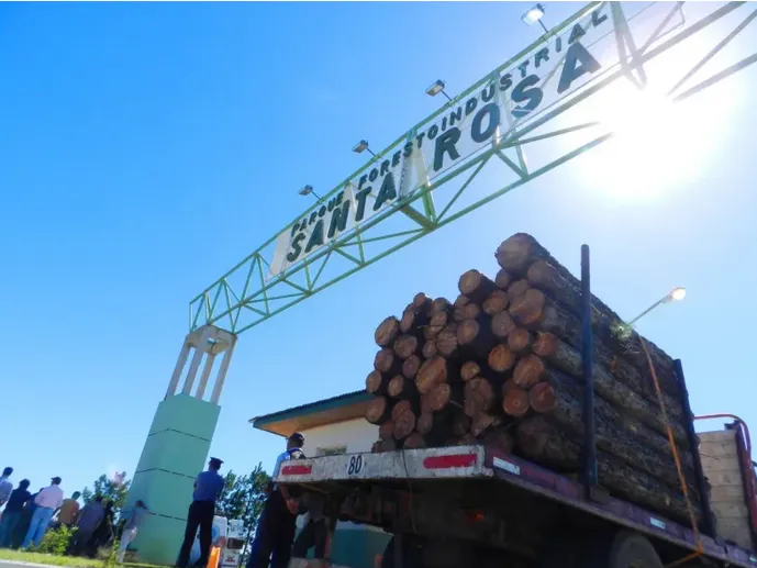 Aserraderos de Santa Rosa avizoran un repunte con el interés comercial de India