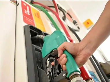 Para frenar las subas, el Gobierno anunció cambios en la conformación de la nafta