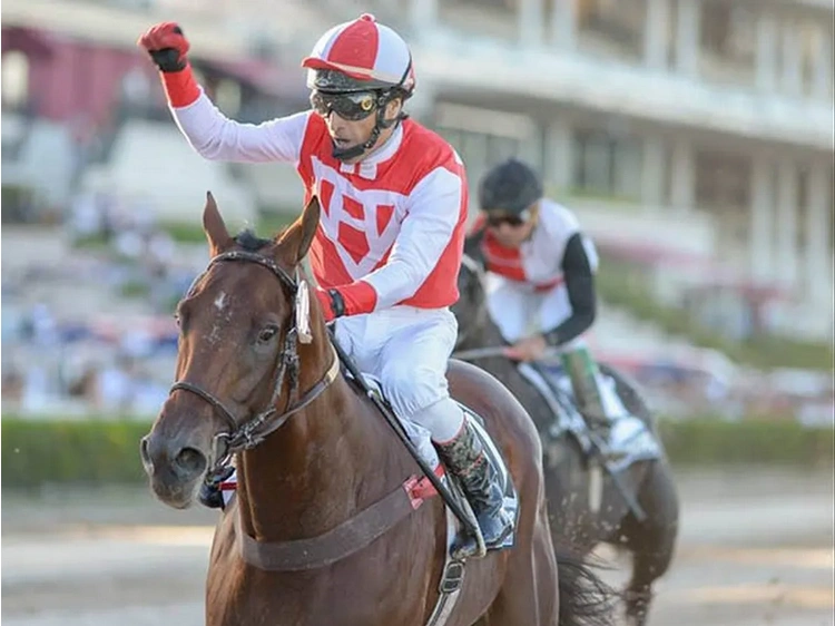 El caballo El Moisés, del stud S. de B. de José Mastellone, ganó el Gran Premio Nacional de 2014.
