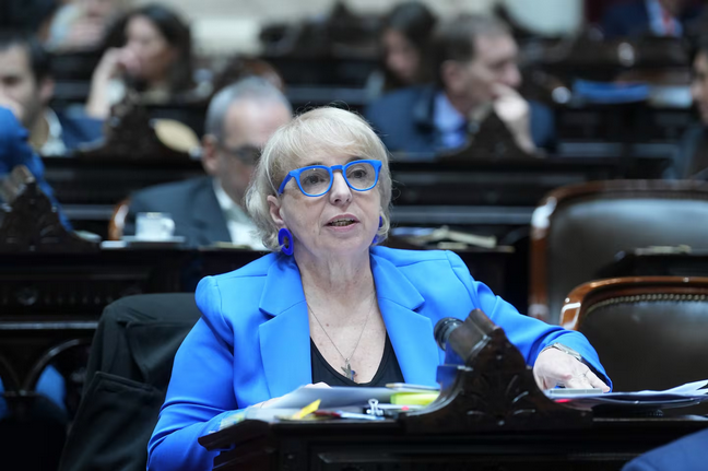 Silvana Giudici, diputada nacional de La Libertad Avanza, defendió el proyecto de Súper-RIGI. Foto Cámara de Diputados