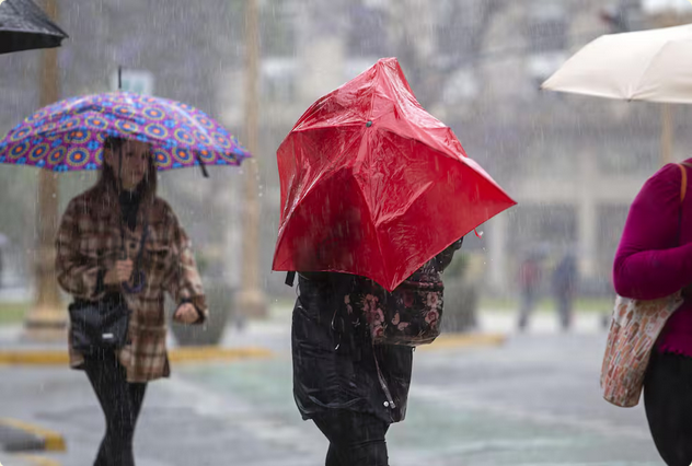 Organismos internacionales confirmaron que el próximo fenómeno de El Niño se ubicará entre los más intensos de los últimos años. Foto: Noticias Argentinas NA
