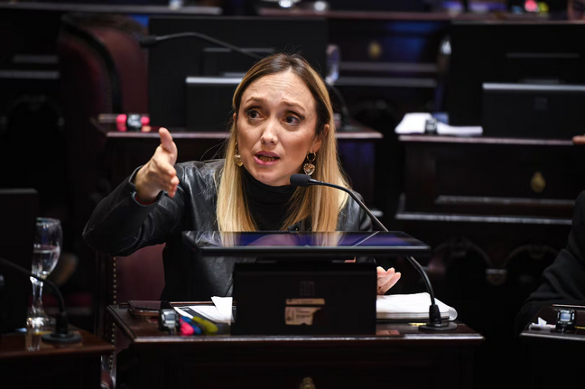 Anabel Fernández Sagasti, Senadora nacional bloque Justicialista. (Foto: Charly Diaz Azcue / Comunicación Senado)
