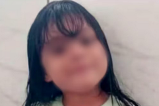 La búsqueda internacional de la niña de 5 años fue difundida por Interpol y las autoridades argentinas