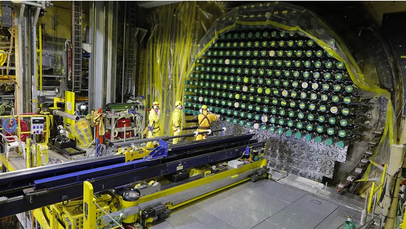 Nucleoeléctrica